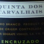 Encruzado 2009, Quinta dos Carvalhais, Dão, Portugalsko